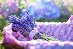 結婚相談所での婚活成功への道!諦めずに目指す幸せな未来