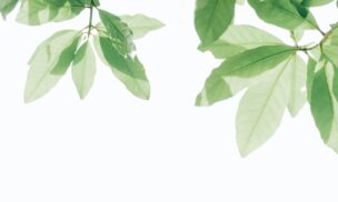 結婚相談所でのお見合いにおいて、両親の話は必要か?