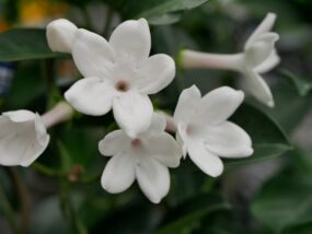 婚活の焦りを和らげる方法！心の平穏を保ちながら理想の相手を見つける