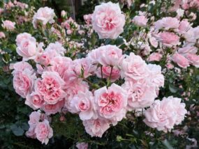 モラハラを見極めて幸せなパートナーと出会う方法