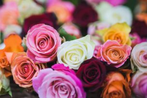 婚活で「幸せな成功」を掴むための唯一の近道